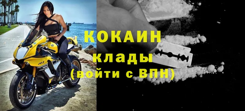 сколько стоит  Бокситогорск  COCAIN Fish Scale 